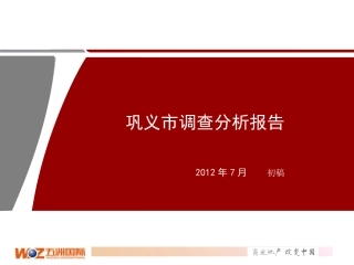 河南巩义调查报告