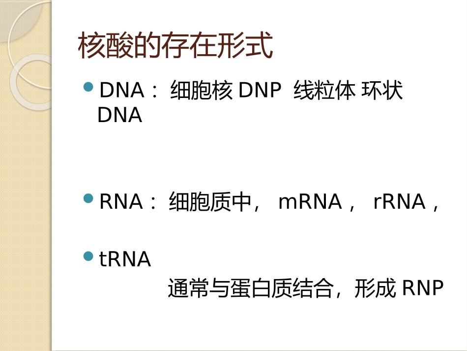 核酸的分离与纯化_第3页