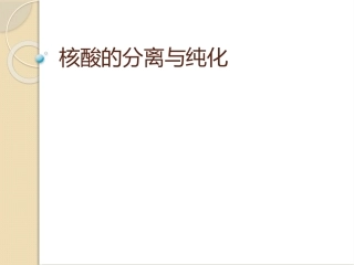 核酸的分离与纯化