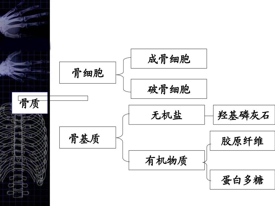 核医学骨显像优质课件_第2页