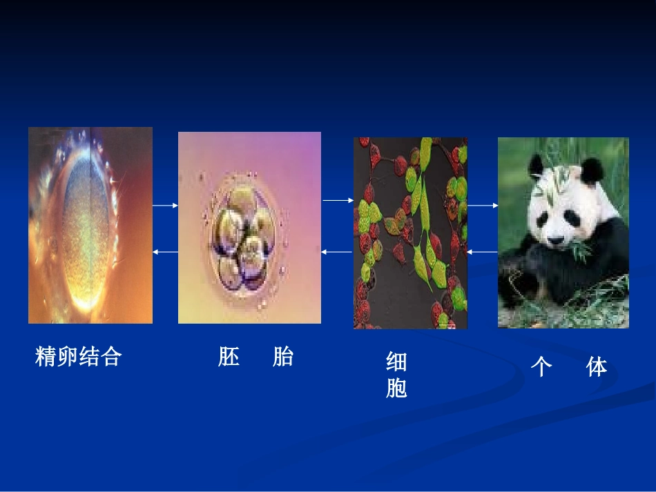 核移植技术及应用_第2页