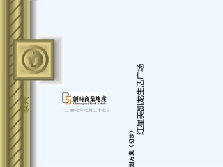 红星房地产项目营销策划方案