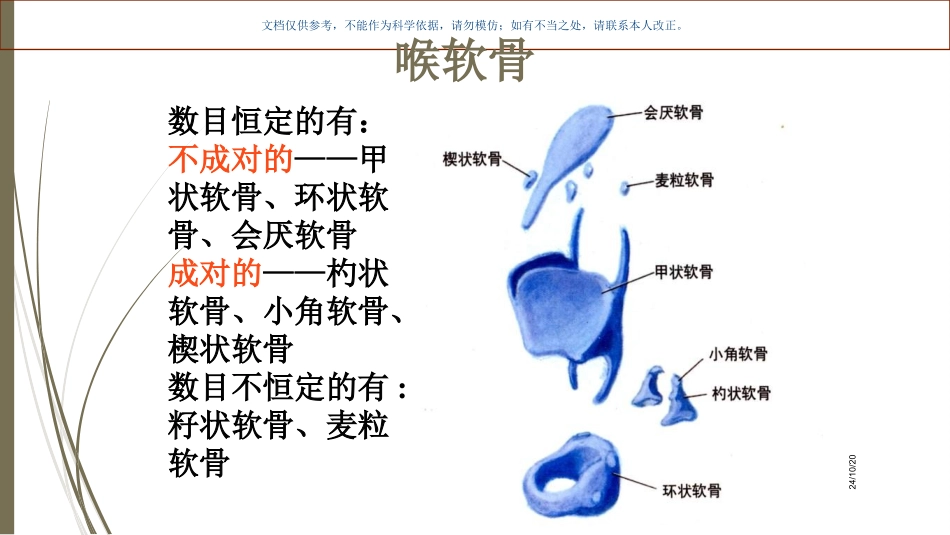 喉内肌解剖和声带麻痹课件_第1页