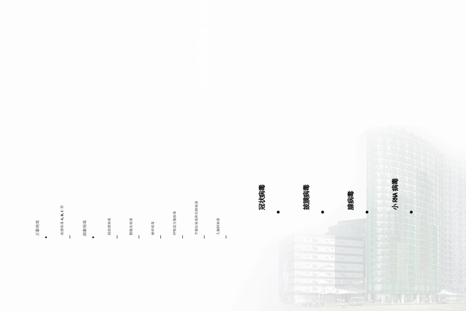 呼吸道病毒医学知识讲座优质课件_第3页