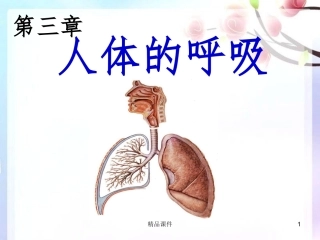 呼吸道对空气的处置