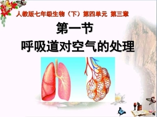 呼吸道对空气的处置人体的呼吸优秀课件