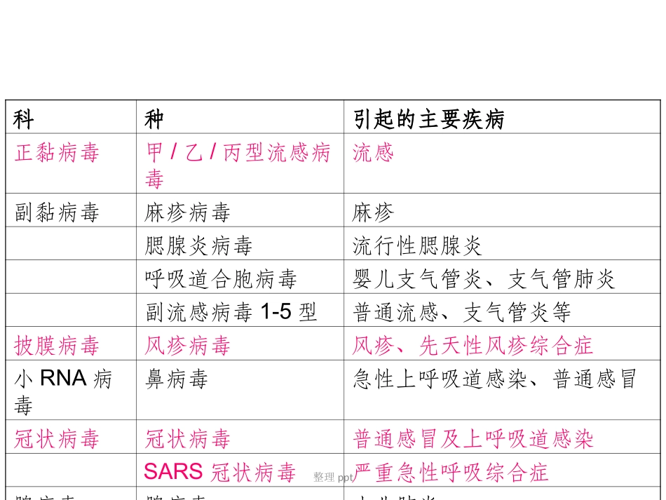 呼吸道感染病毒_第2页