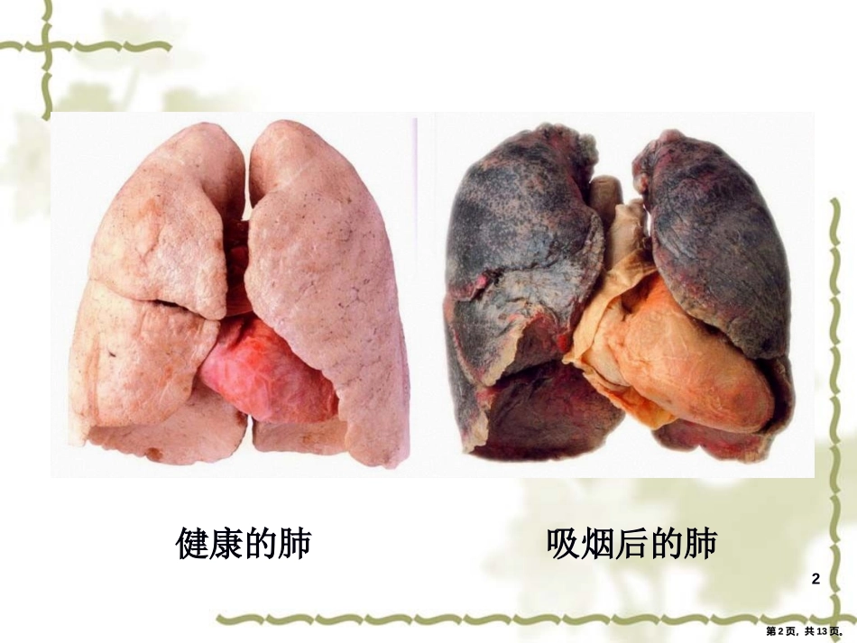 呼吸与交换课件_第2页