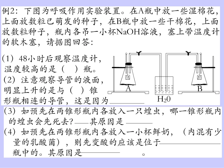 呼吸作用 教学课件_第3页