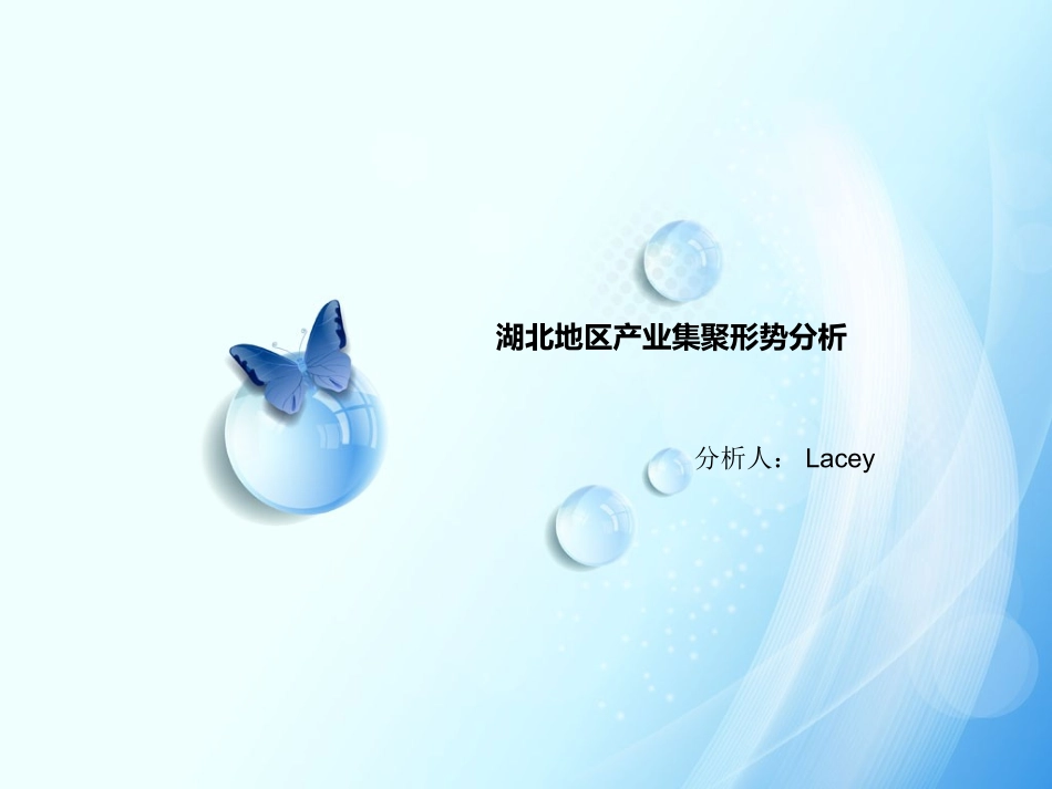 湖北区域市场分析_第1页