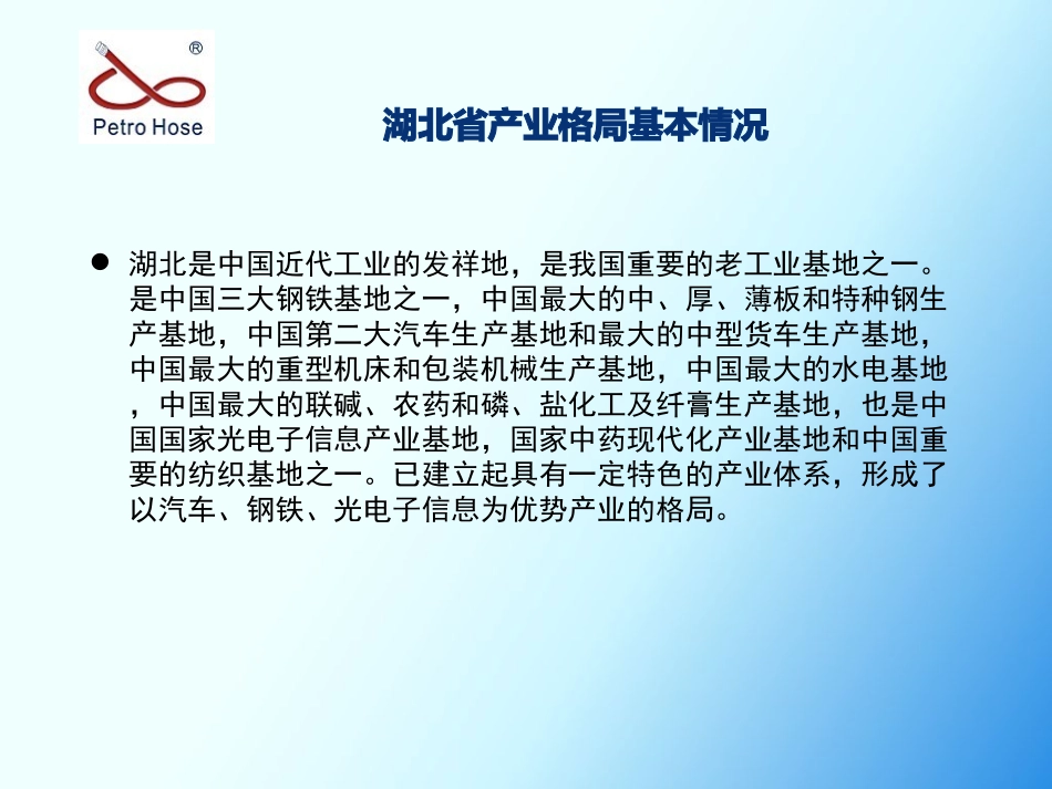 湖北区域市场分析_第2页