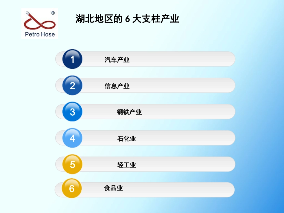 湖北区域市场分析_第3页