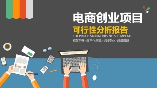 互联网电商创业项目可行性分析报告模板