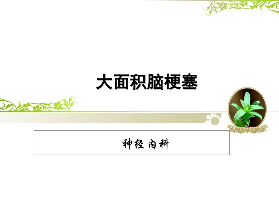 护理查房大面积脑梗死_第1页