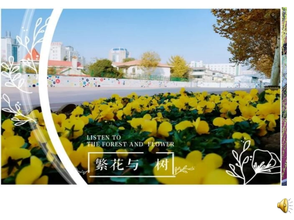 花儿草儿真美丽课件_第2页
