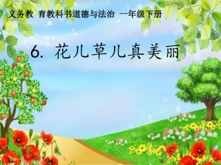 花儿草儿真美丽课件