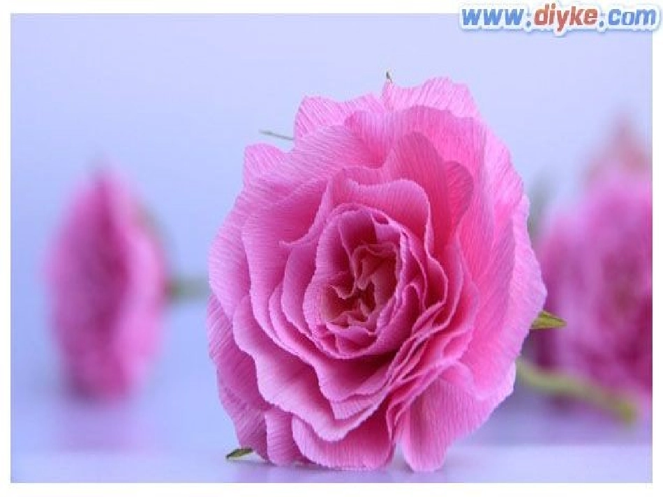 花团锦簇课件_第3页