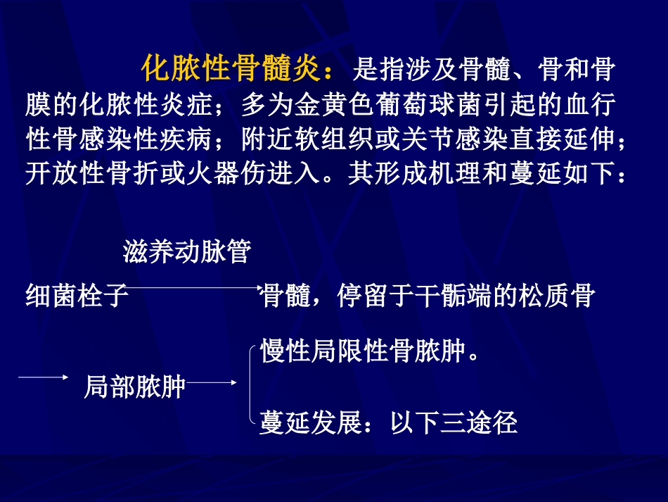 化脓性骨髓炎_第2页