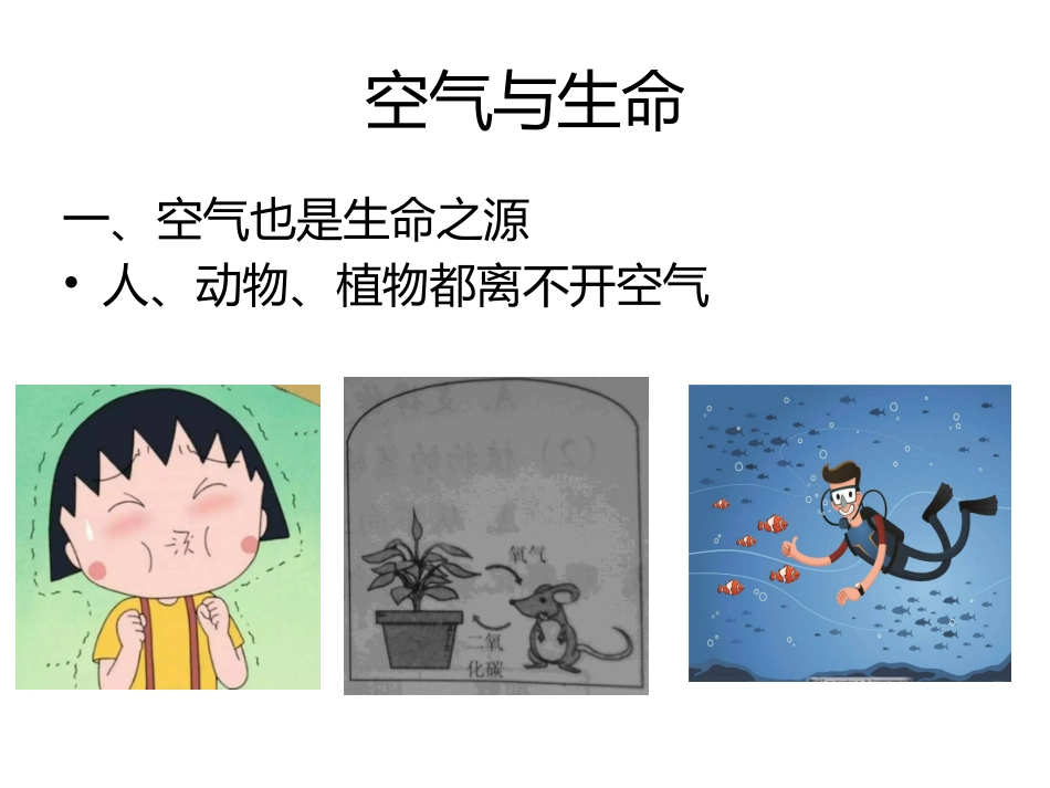 环保日大气自动子站环保知识科普课堂_第2页