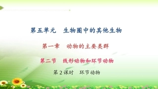 环节动物练习题