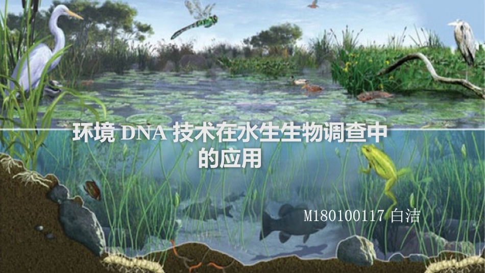 环境DNA在水域生态的应用_第1页