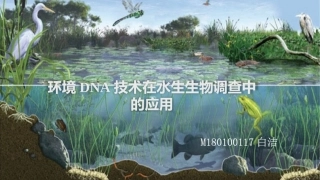 环境DNA在水域生态的应用