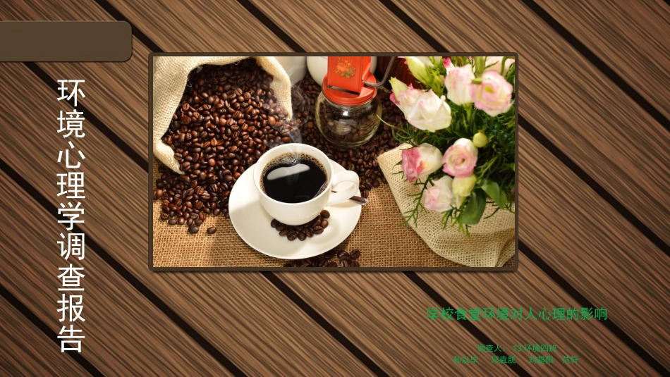 环境心理学调查报告_第1页