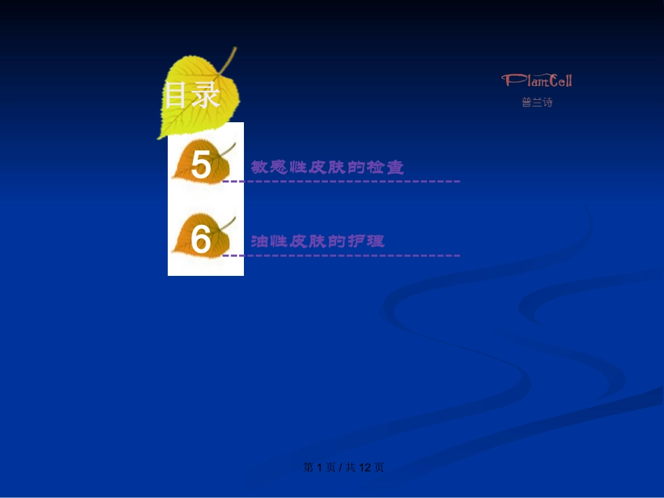 肌肤分类敏感性皮肤教案_第2页