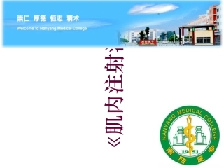 肌内注射法说课