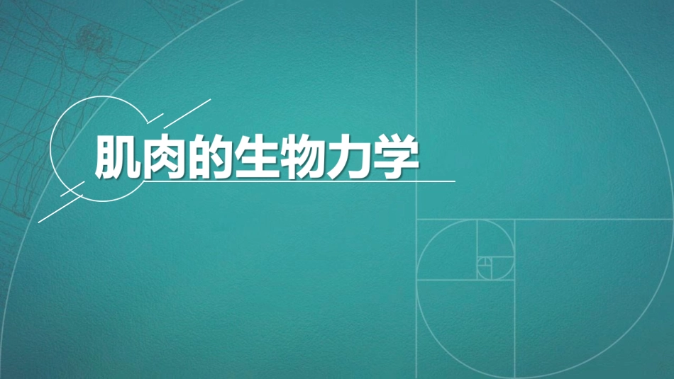 肌肉的生物力学模型_第2页