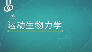 肌肉的生物力学模型