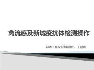 鸡抗体检测培训