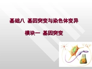 基础八基因突变与染色体变异