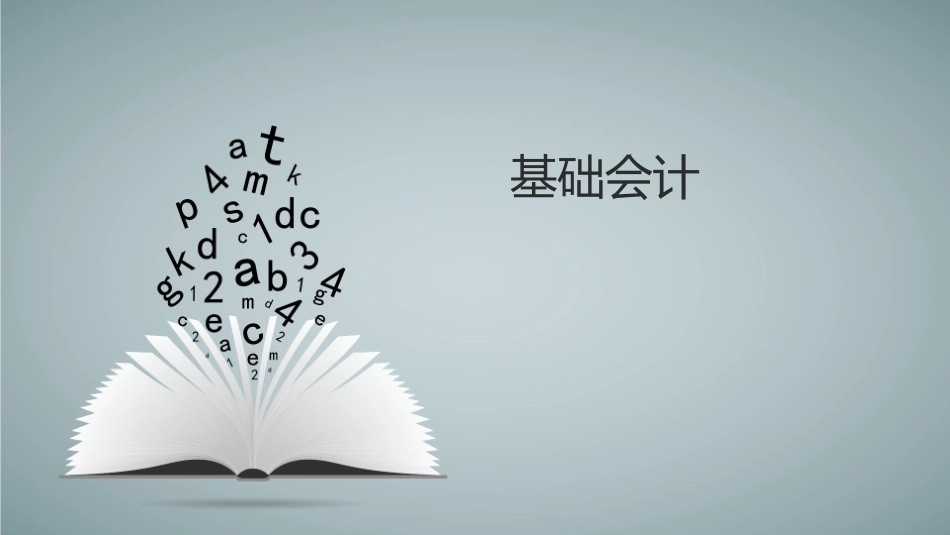 基础会计会计核算基础_第1页