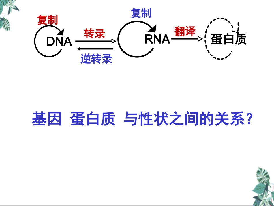 基因表达与性状的关系课件_第1页
