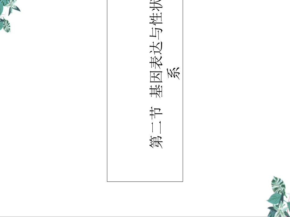 基因表达与性状的关系课件_第2页