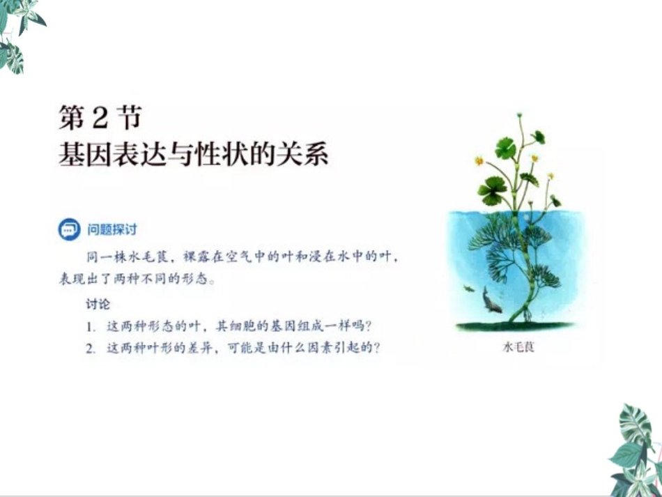 基因表达与性状的关系课件_第3页