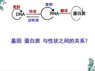 基因表达与性状的关系课件