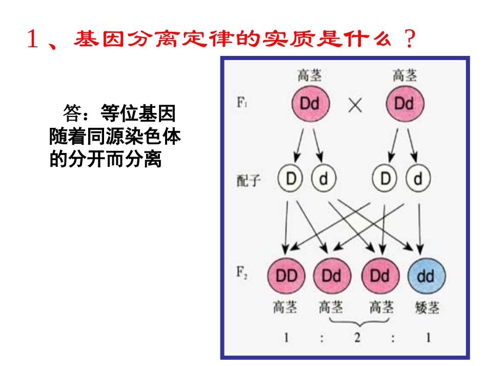基因的自由组合定律_第2页
