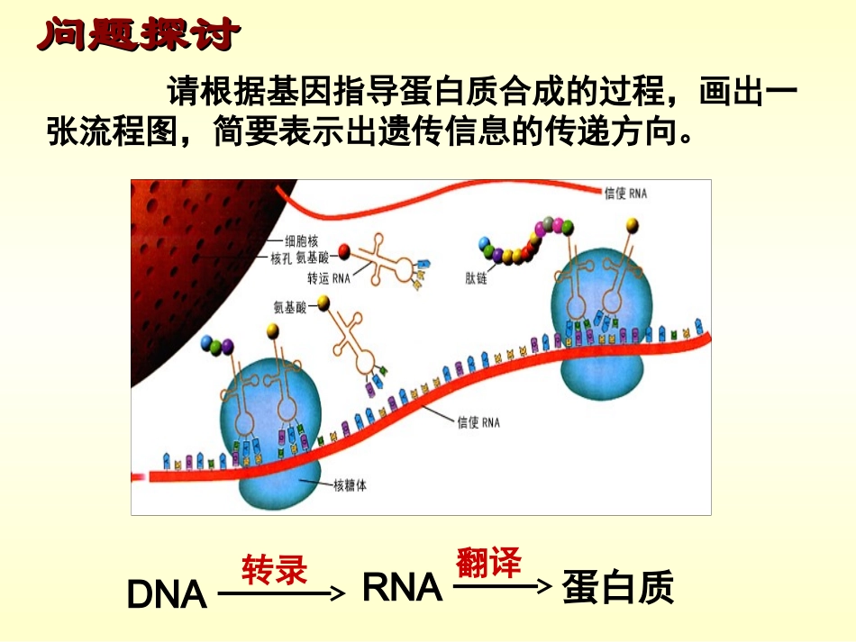 基因对性状的控制_第2页