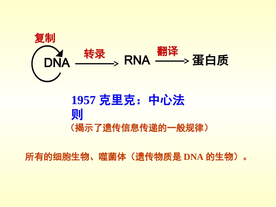 基因对性状的控制_第3页
