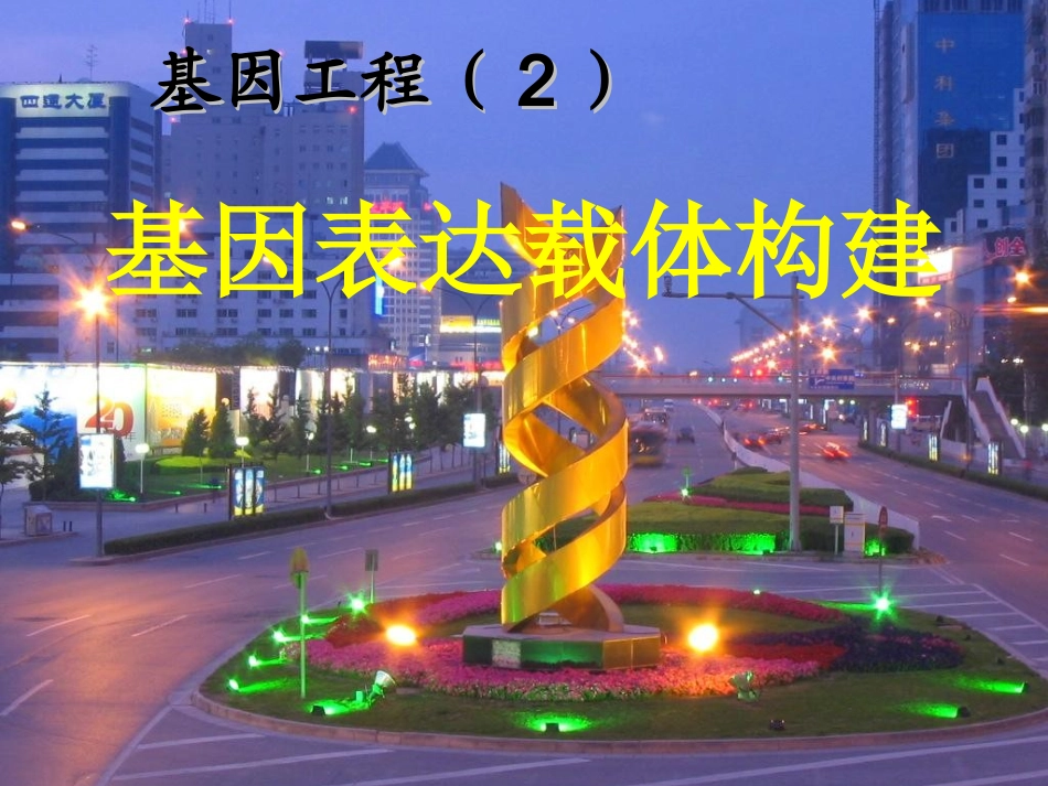 基因工程基因表达载体构建_第1页