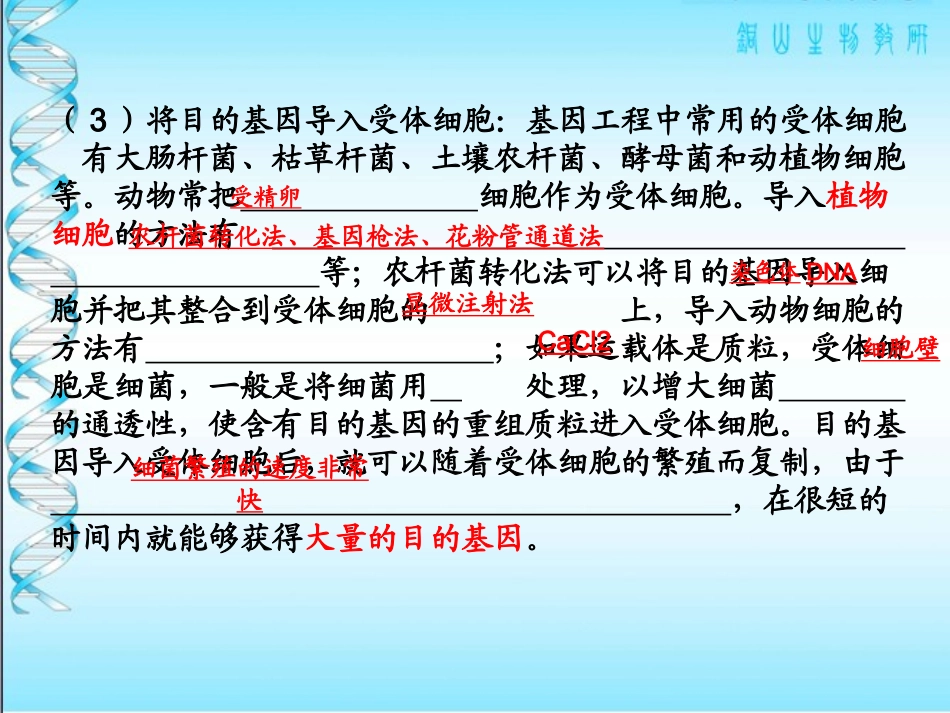 基因工程基因表达载体构建_第3页