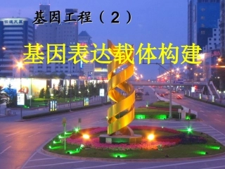 基因工程基因表达载体构建