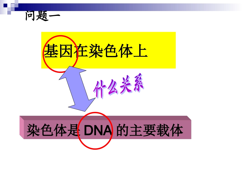 基因是有遗传效应的DNA片段上课用概述_第2页