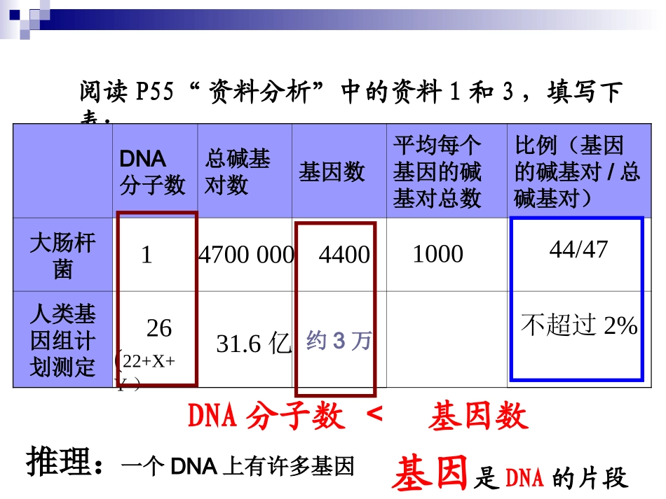 基因是有遗传效应的DNA片段上课用概述_第3页