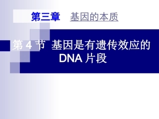 基因是有遗传效应的DNA片段上课用概述