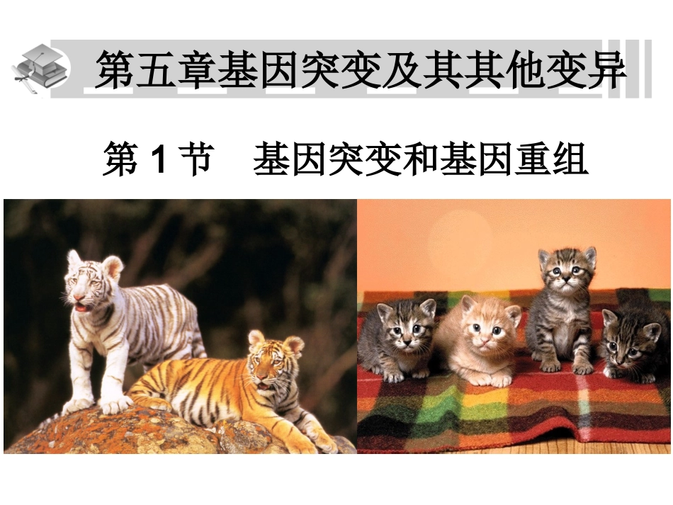 基因突变和基因重组_第1页