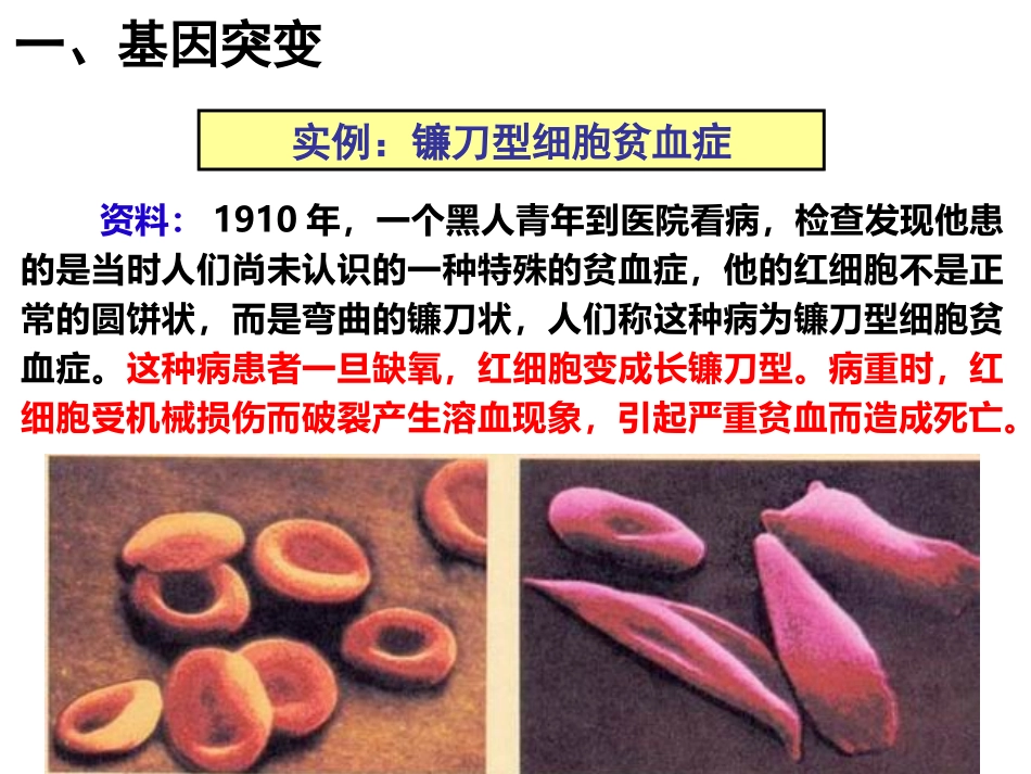 基因突变和基因重组_第3页