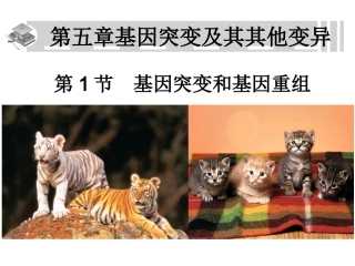 基因突变和基因重组